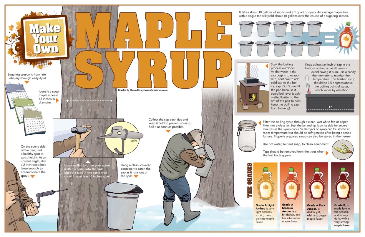 Image result for boiling maple syrup temp