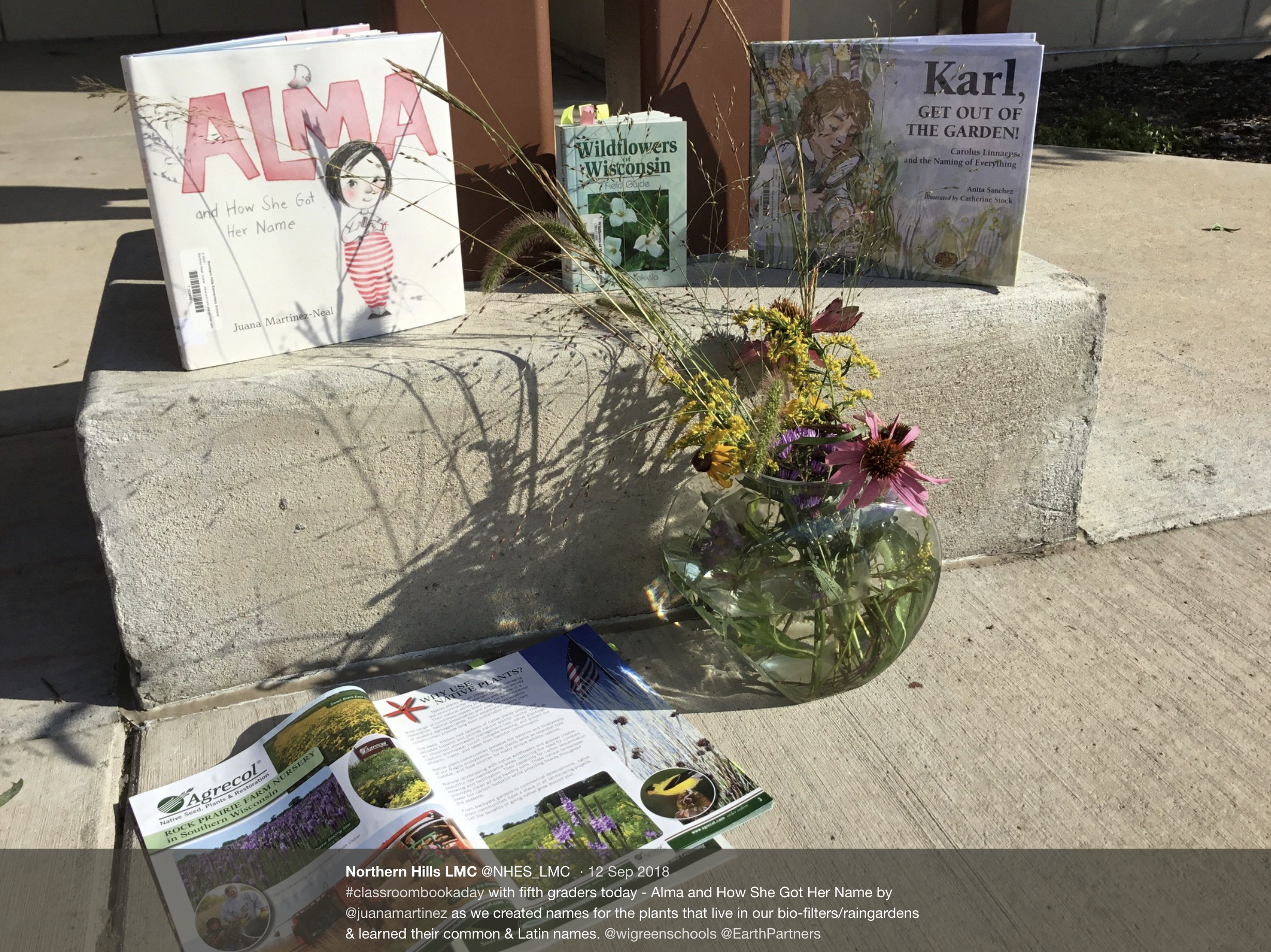 Two picture books about names and naming. A field guide to flowers in WI, a plant catalog & a vase of flowers from our rain garden. All used in lessons about classification and naming of plants.